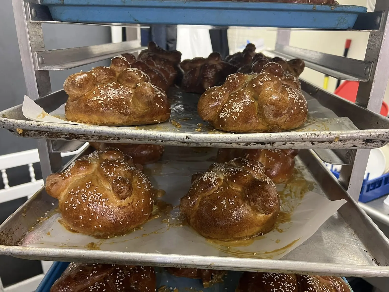 Pan de muerto cooling on the bakery rack